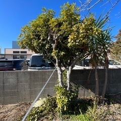 ☘️来月末より開催します🍀早めにご予約を‼️