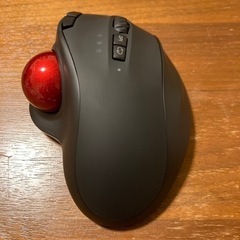 マウス　お渡し予定者決定の画像
