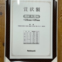 ナカバヤシ製額縁　大賞サイズの画像