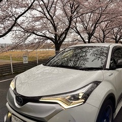 TRDフロントガーニッシュ　C-HR