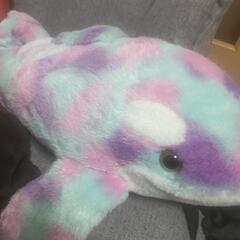 シャチオーロラ超BIGぬいぐるみの画像