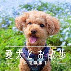 【お散歩会】1月14日(土)｜ペット好き｜友達交流会｜友活
