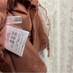 nice claup ドットチュールブラウスの画像