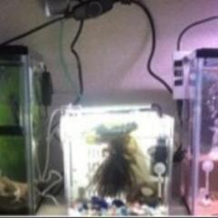 アクアリウム友達募集