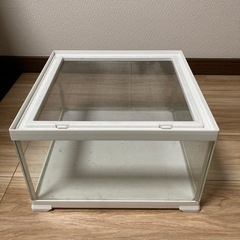 レプテリアホワイト300CUBE Low 0円