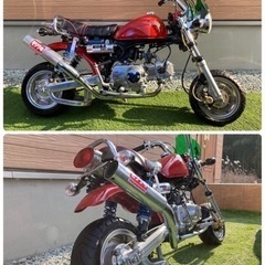 🌟🌟美車‼️モンキー‼️実働‼️カスタム多数‼️🌟🌟