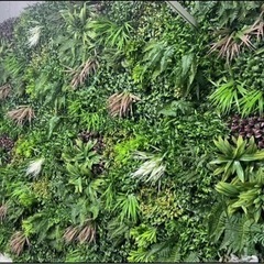 整体、美容エステのスタッフ募集中の画像