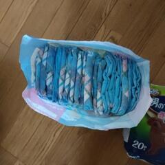 小型犬マナーウェア 2セットの画像