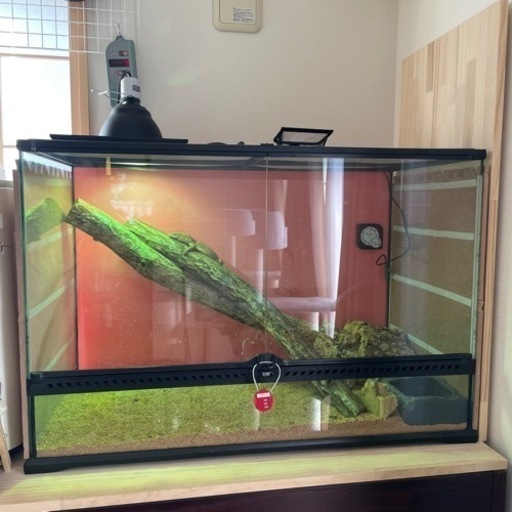 値下げしました！EXO TERRA    爬虫類ケージ　900×450×600