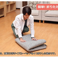 【無料】1.5畳サイズ ホットカーペットの画像