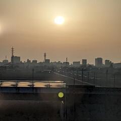 写真撮るのが好きな方 - 友達
