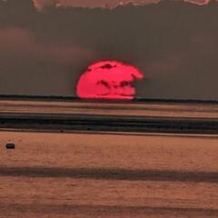 写真撮るのが好きな方 − 三重県