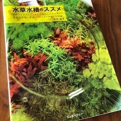 水草水槽の本