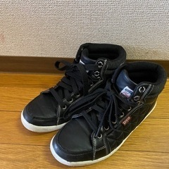 靴　エドウィン　スニーカー
