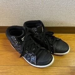 靴　エドウィン　スニーカーの画像