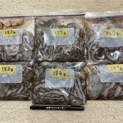 釣り餌　シガヤーの画像