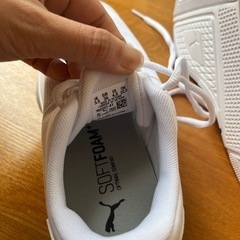 PUMA スニーカーの画像