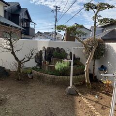 フォーチュン剪定班（剪定作業全般）よりの画像