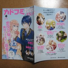 【こちらの出品物は1点ずつの価格】カドコミ 購入特典非売品販促冊子☆待合せ手渡しのみの画像