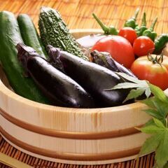 【応募締切】★組み合わせで稼ぐver.16★ 野菜配送 + 個人...