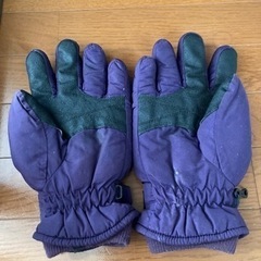 手袋　バイク用の画像