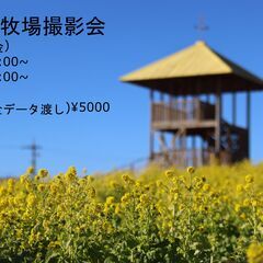 【1/20（金）】菜の花撮影会