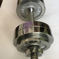 ダンベル(アレー) 13キログラム値下げの画像