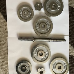 ダンベル(アレー) 13キログラム値下げの画像