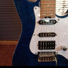 ESP grass roots G-MR-CTM ダンカンピックアップ カスタム スナッパーの画像