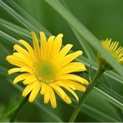 真剣な出会い探し、真剣な恋愛していきませんか？