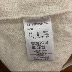 WEGO バックロゴピグメントキーネックパーカーの画像