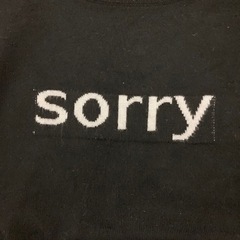 sorry シンプルロゴニットの画像