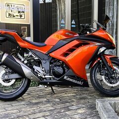 カワサキ ニンジャ250 訳あり特価車 2016年モデル 走行25,000km USBポート、マルチホルダーバー付 kawasaki ninja250 EX250Lの画像