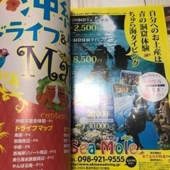 るるぶ沖縄ベスト '15の画像