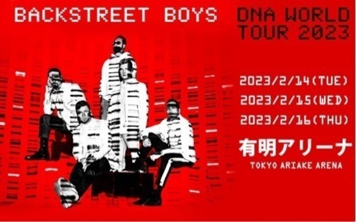 2/16 backstreet boysライブチケットS指定席 2枚