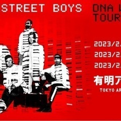 2/16 backstreet boysライブチケットS指定席 2枚