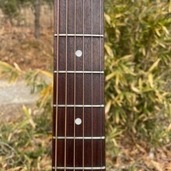 Ｇreco  101N  1975年製　フジゲンの画像