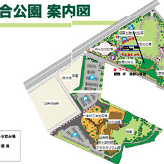白井総合公園　1月15(日) 　ミルクの会