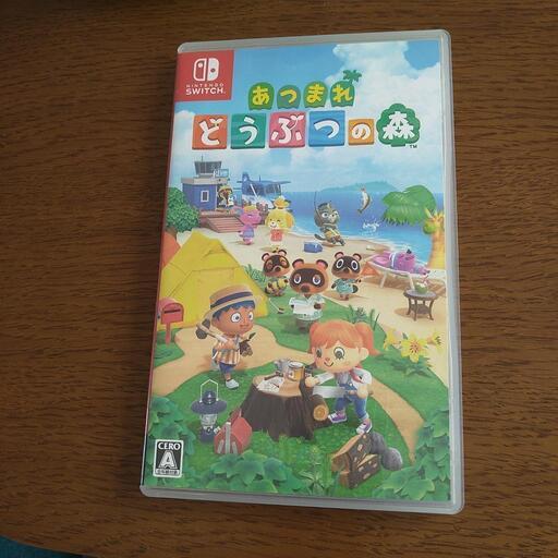 ニンテンドースイッチ あつまれどうぶつの森 Nintendo Switch