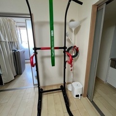 懸垂マシン+プルアップ補助用ゴムバンド