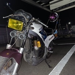 vtz250