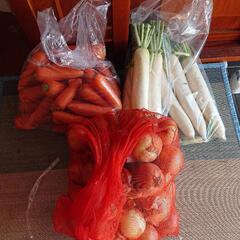 野菜(大根、人参、玉ねぎ)