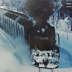 SL D51 804　写真パネル　蒸気機関車　国鉄　デゴイチ　冬景色　フォトパネル　インテリア　飾りの画像