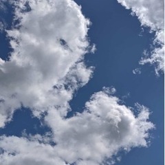 一緒に呑んだり、遊んだり出来る最高な仲間・友達作りませんか✨