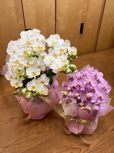 未使用アートフラワー2点セット/胡蝶ラン白・ピンク