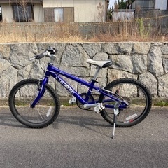 LOUIS GARNEAU ルイガノ　J206　子供用自転車　20インチの画像