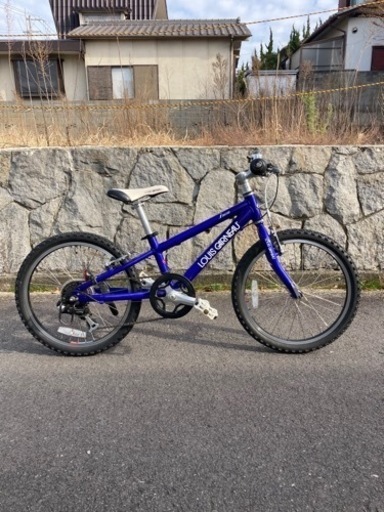 LOUIS GARNEAU ルイガノ　J206　子供用自転車　20インチ