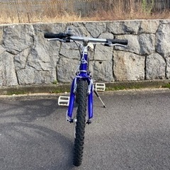 LOUIS GARNEAU ルイガノ　J206　子供用自転車　20インチの画像