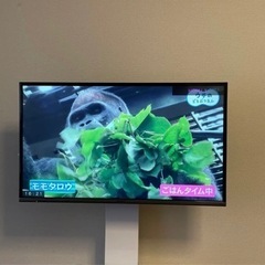 テレビ テレビスタンド ブルーレイレコーダー 3点セット