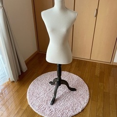 トルソー　生成　レース仕様